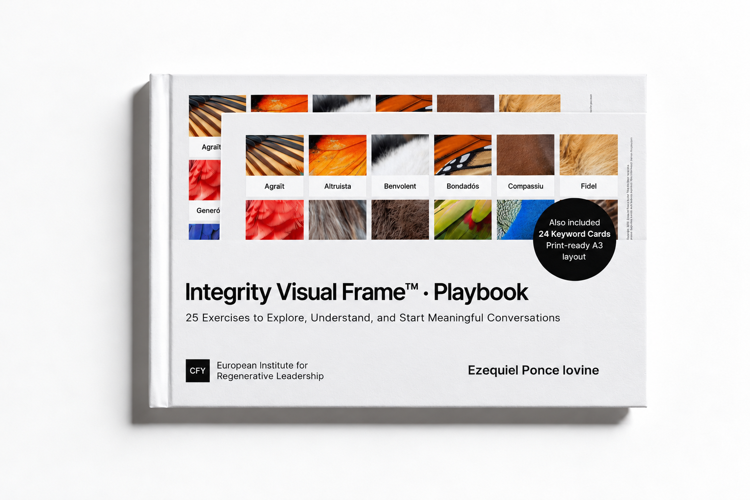 Integrity Visual Frame Playbook