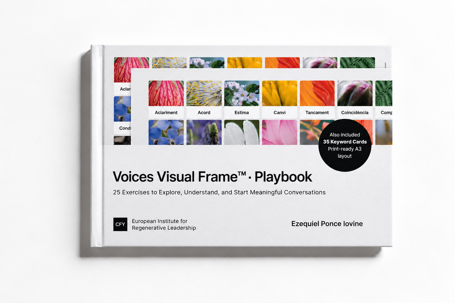 Voices Visual Frame Playbook Cover Voices Visual Frame Playbook Cover
